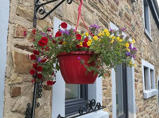 At Bed & Breakfast Dochamps